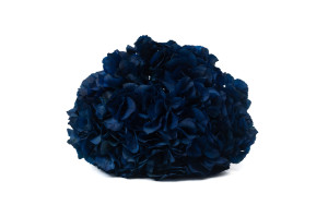 hortensia-stabilise-14.