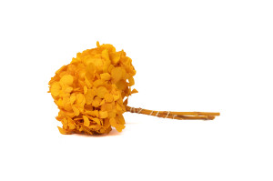 hortensia-stabilise-14.