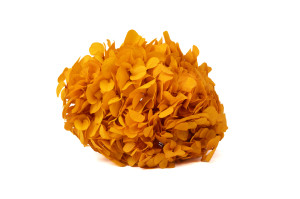 hortensia-stabilise-14.