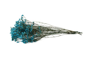 preserved-limonium-14.