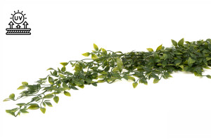 tradescantia-artificiel-chute-41