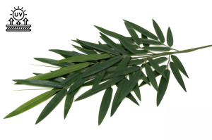 artificial-bamboo-uv-41