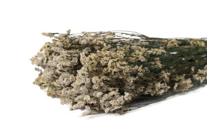 preserved-flowered-limonium-31.