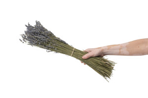 dried-lavendin-natural-32.