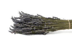 lavandin-sec-naturel-32