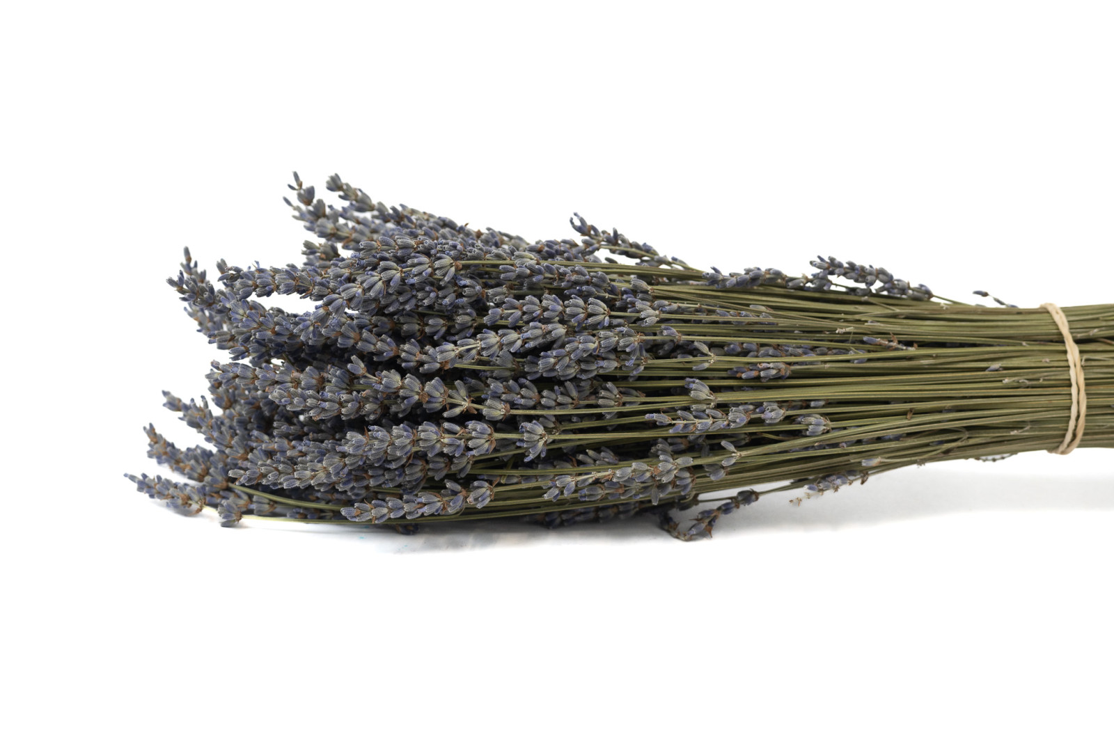 lavandin-sec-naturel-32