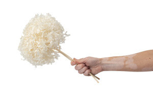 hortensia-anna-stabilise-7.