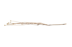 dried-small-popy-18.
