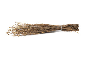 dried-small-popy-18.
