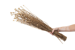 dried-small-popy-18.