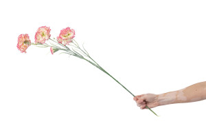 artificial-carnation-40.