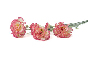 artificial-carnation-40