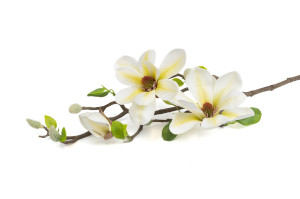 artificial-magnolia-40