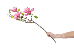 kuenstliche-magnolie-40.