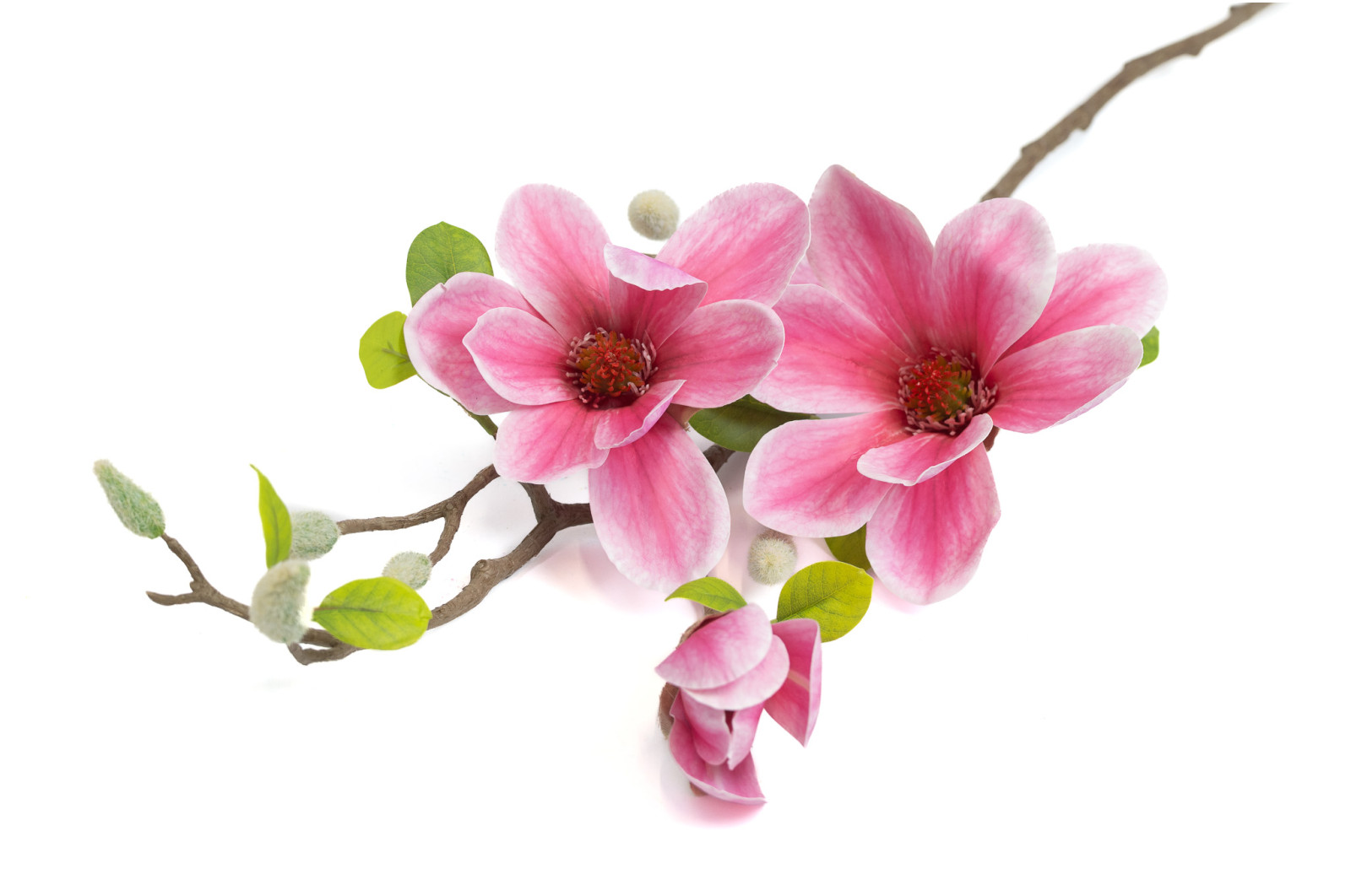 artificial-magnolia-40