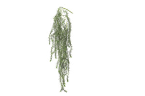 kuenstlicher-haengender-asparagus-40.