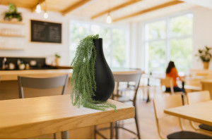 artificial-hanging-asparagus-40.