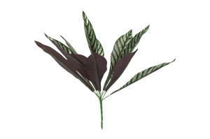 artificial-calathea-pick-40.