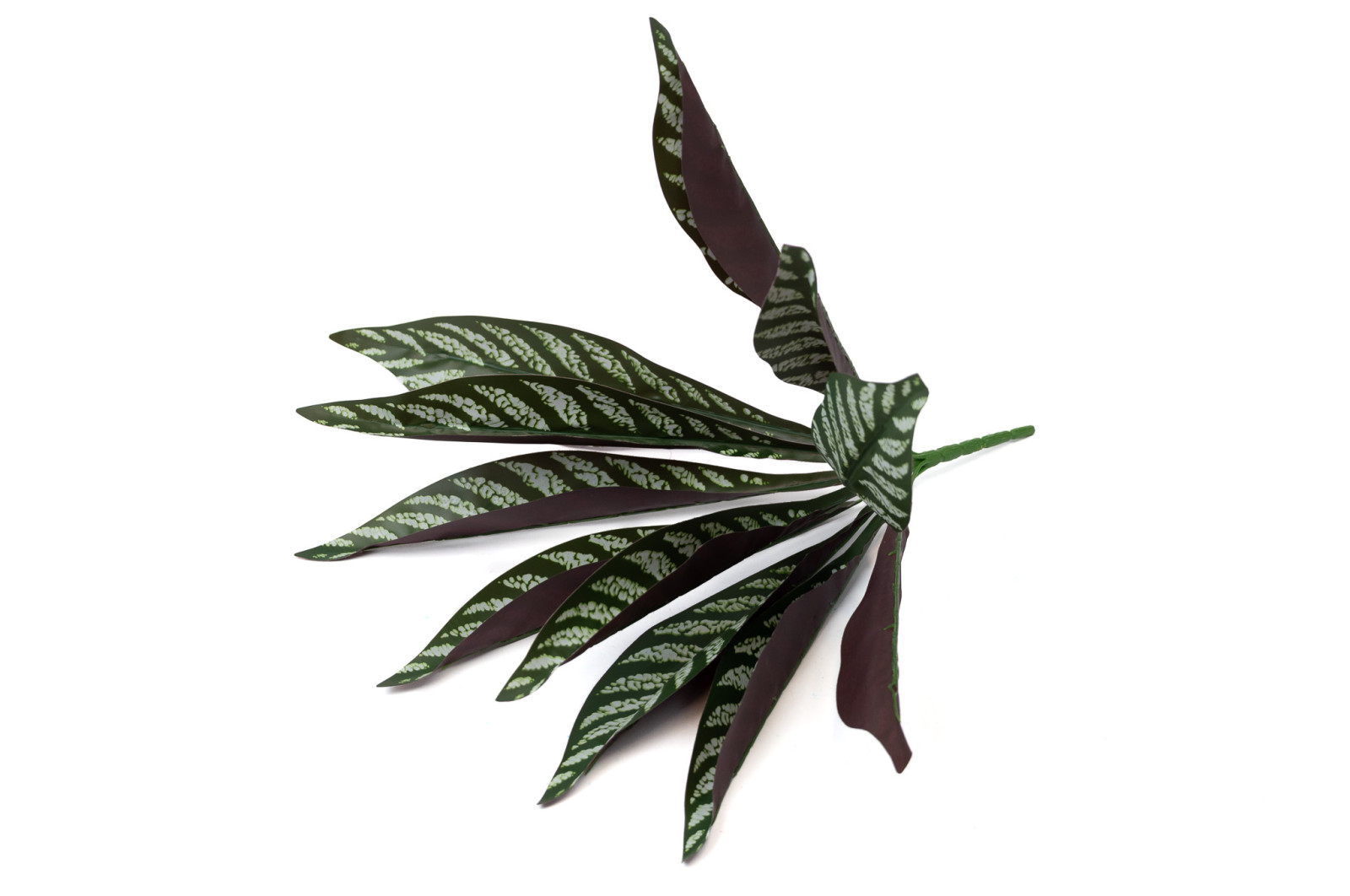 calathea-artificiel-piquet-40