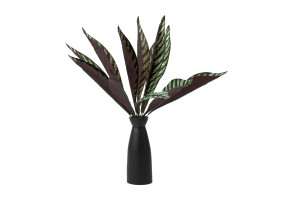 artificial-calathea-pick-40.