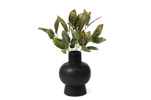 codiaeum-kuenstlicher-stecker-40.