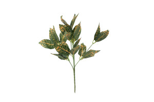 codiaeum-artificiel-piquet-40.