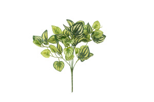 artificial-peperomia-pick-40.