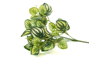 Peperomia artificiel piquet (40)