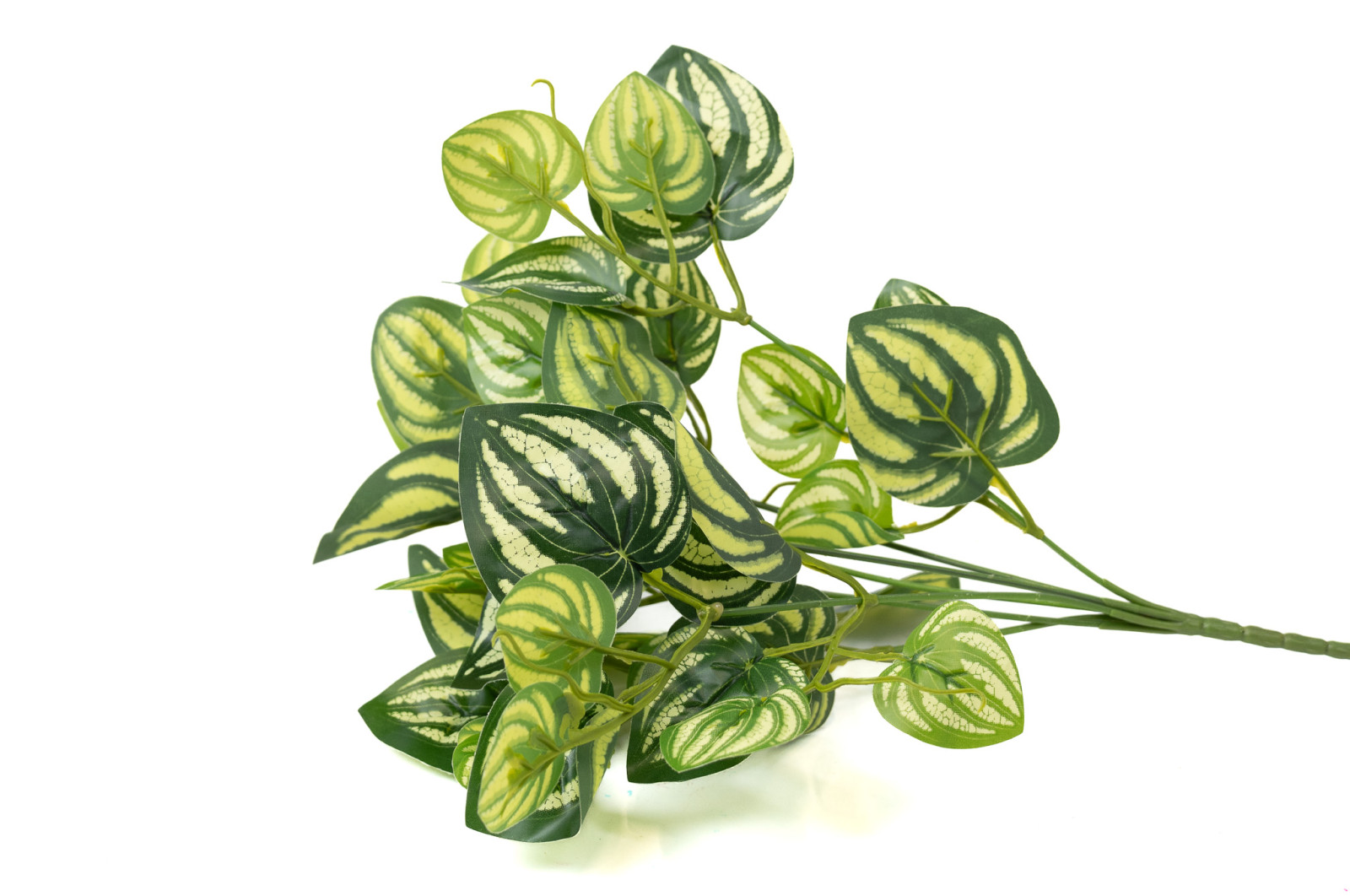 peperomia-artificiel-piquet-40