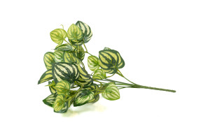 kuenstliche-peperomia-steckpflanze-40.