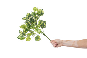artificial-peperomia-pick-40.