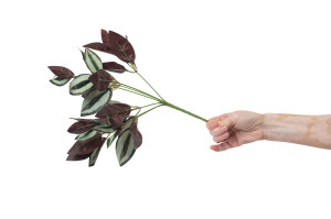 kuenstliche-tradescantia-steckpflanze-40.