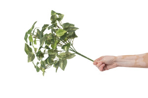 pothos-1-artificiel-piquet-40.