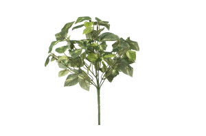 pothos-1-artificial-pick-40.