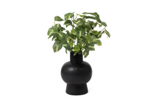 pothos-1-artificial-pick-40.