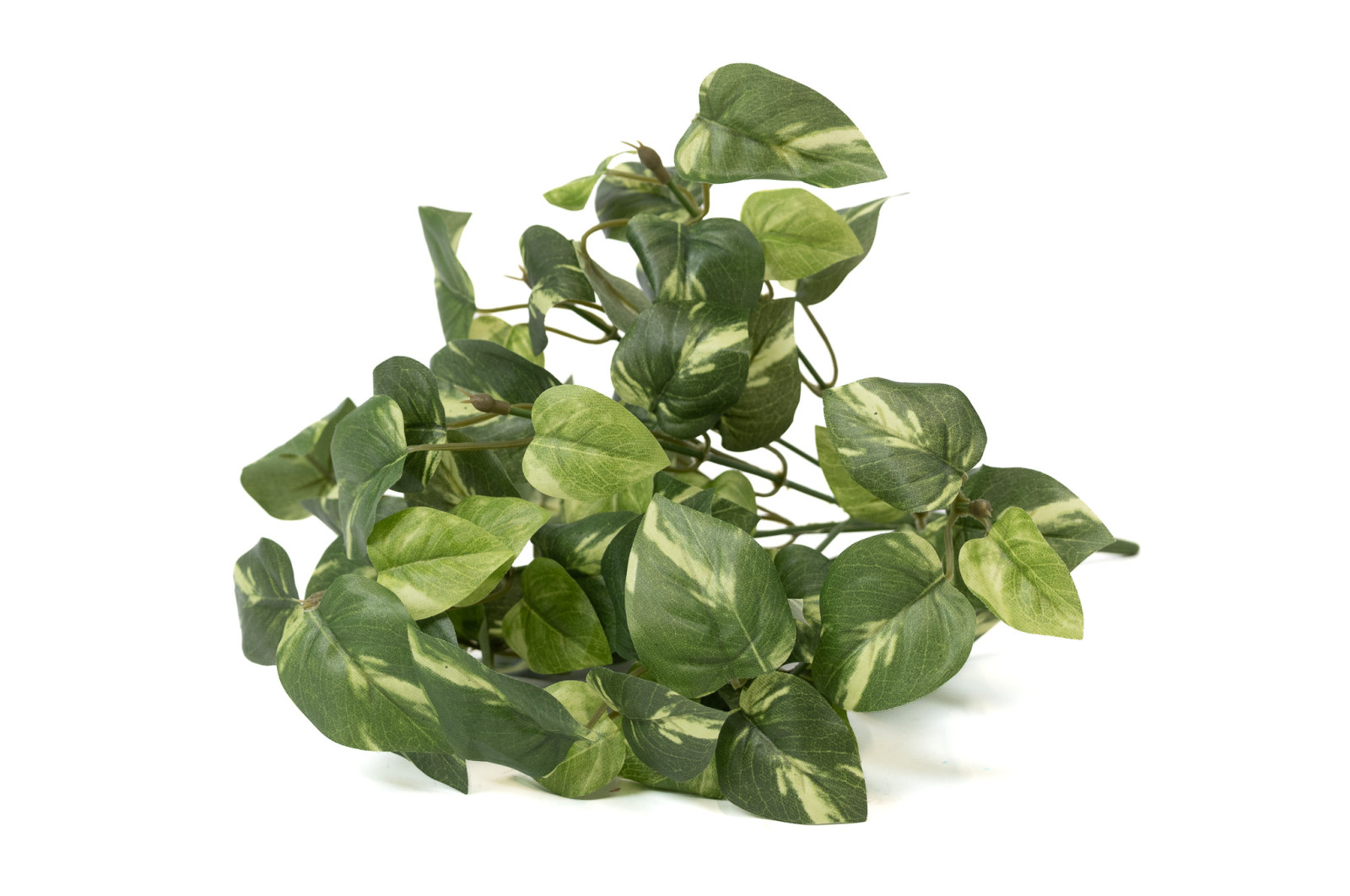 pothos-1-artificial-pick-40