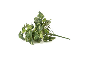 pothos-1-kuenstlicher-stecker-40.