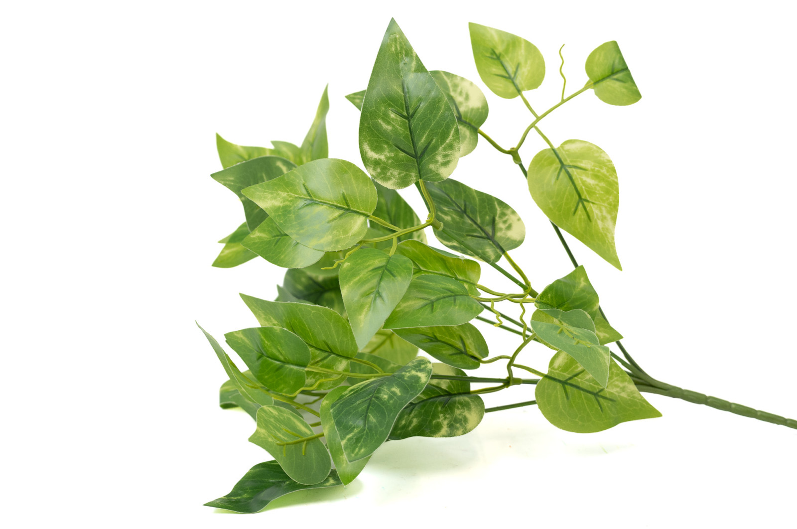 pothos-2-artificiel-piquet-40