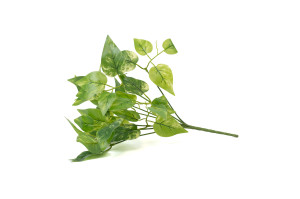 pothos-2-kuenstlicher-stecker-40.