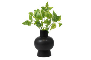 pothos-2-artificial-pick-40.
