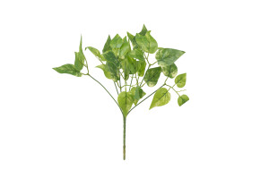 pothos-2-artificial-pick-40.