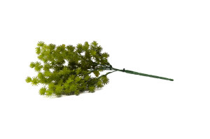 cypres-artificiel-piquet-40.