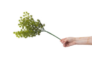 cypres-artificiel-piquet-40.