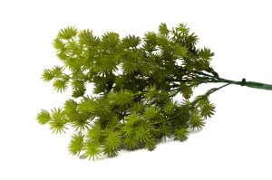 artificial-cypress-pick-40