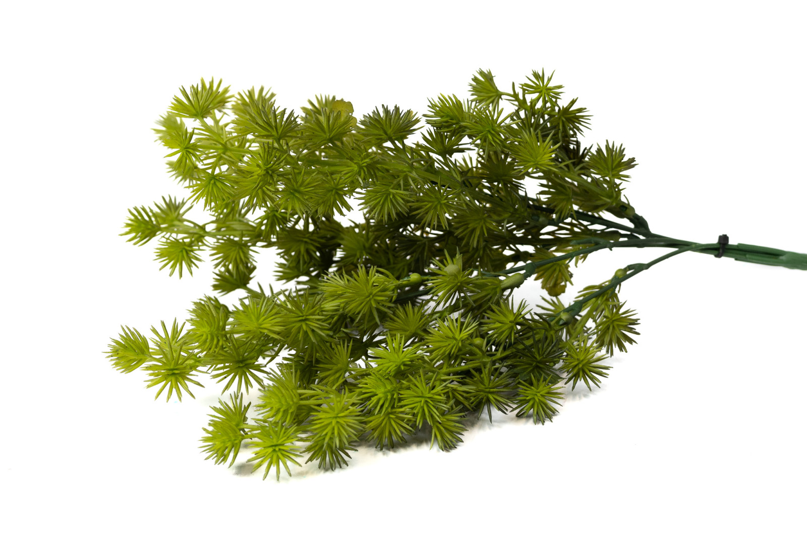 cypres-artificiel-piquet-40