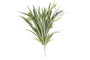 chlorophytum-artificiel-piquet-40.