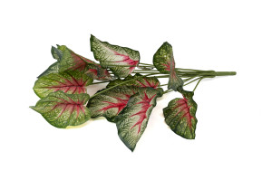 caladium-artificiel-piquet-40.