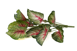 artificial-caladium-pick-40