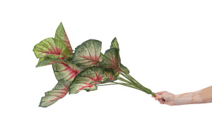 artificial-caladium-pick-40.