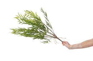 artificial-willow-40.